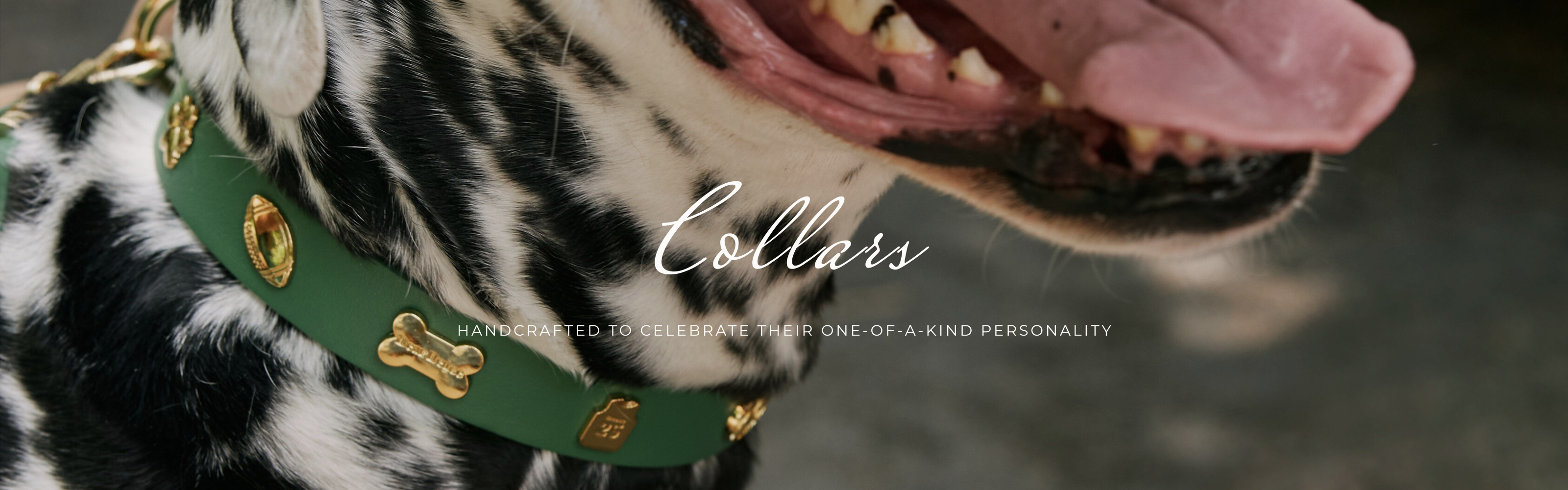 Collars
