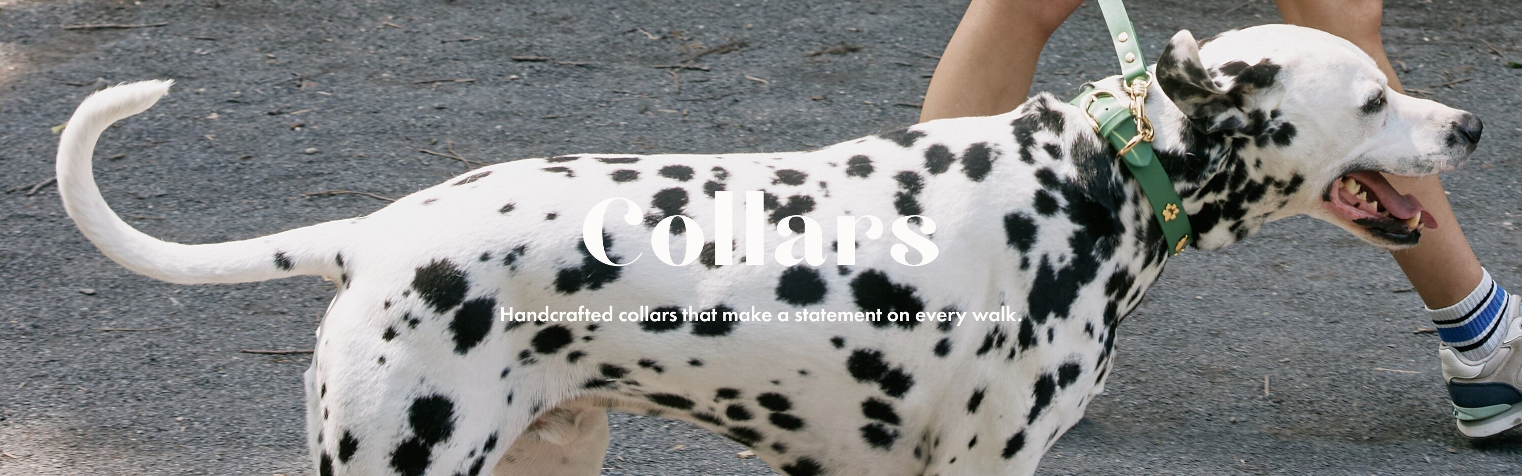 Collars