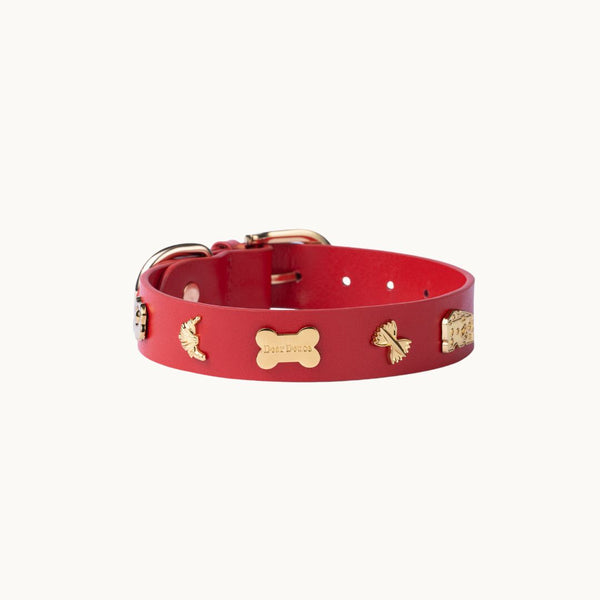The Foodie Collar